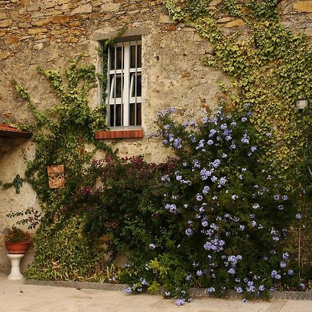 Bed and Breakfast Al Vecchio Convento Mare E Monti Ortonovo Exterior foto